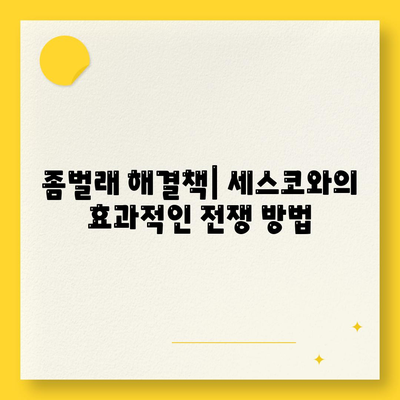 충청북도 청주시 청원구 오근장동 세스코 가격 및 가입 방법 가이드 | 가정집 후기, 원룸 진단, 좀벌래 해결책 2024