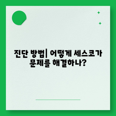 대전시 대덕구 중고동 세스코 비용 및 서비스 후기 2024 | 진단, 신청 방법, 가정집, 원룸, 좀벌래 해결책