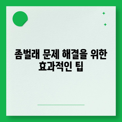 서울시 은평구 불광제2동 세스코 가격과 후기 | 비용, 가정집 신청 방법, 원룸 진단 및 좀벌래 해결 팁 2024