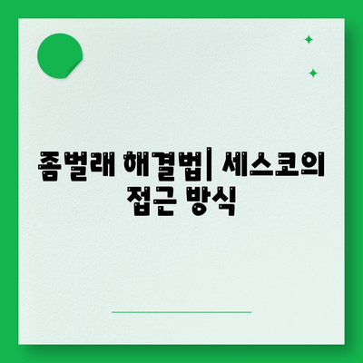 전라남도 강진군 성전면 세스코 가격 및 가정집 후기| 좀벌래 해결법과 신청 방법 안내 | 세스코, 비용, 원룸, 가입, 진단, 후기 2024