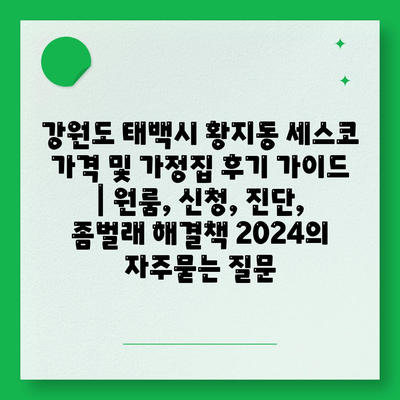 강원도 태백시 황지동 세스코 가격 및 가정집 후기 가이드 | 원룸, 신청, 진단, 좀벌래 해결책 2024