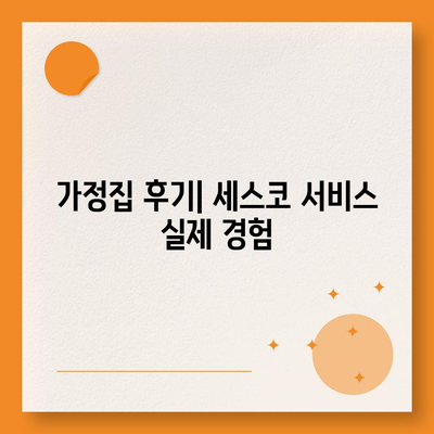 광주시 광산구 수완동 세스코 가격 및 신청 방법 | 가정집 후기, 원룸 진단, 좀벌래 해결 2024