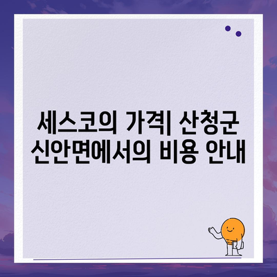 경상남도 산청군 신안면 세스코 가격 및 신청 방법 | 비용, 후기, 가정집, 원룸, 좀벌래 해결책 2024