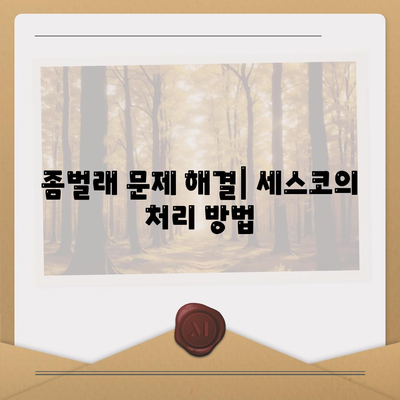 충청남도 서산시 동문2동 세스코 가격과 가정집 후기 총정리 | 비용, 신청방법, 좀벌래 해결, 원룸 정보 2024