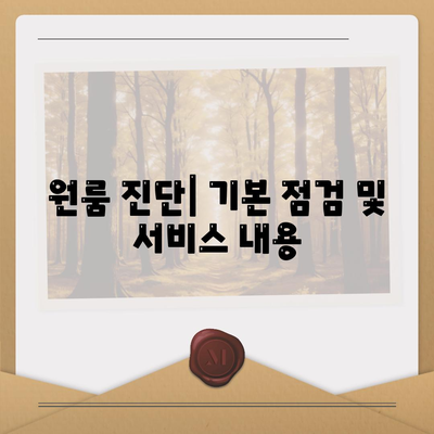 강원도 횡성군 갑천면 세스코 가격 및 후기 완벽 가이드 | 비용, 가정집 신청, 원룸 진단, 좀벌래 해결책 2024