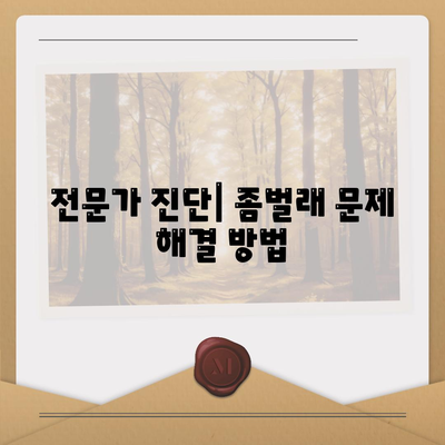 세종시 연기면 세스코 가격과 가정집 후기 완벽 가이드 | 비용, 신청, 진단, 좀벌래 해결 방법 2024