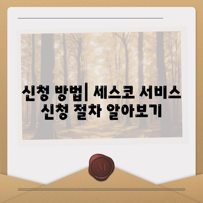 대구시 서구 비산4동 세스코 가격과 가정집 후기 | 비용, 신청 방법, 효과적인 진단 및 좀벌래 해결책 2024