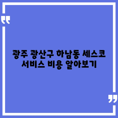 광주시 광산구 하남동 세스코 가격과 비용 | 가정집 및 원룸 후기 | 신청 방법과 좀벌래 진단 팁 2024"