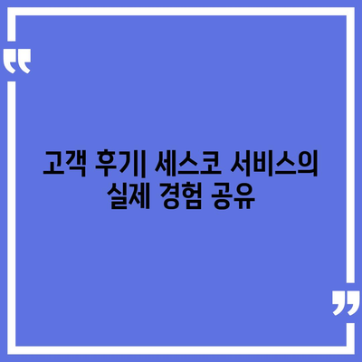 세종시 연동면 세스코 가정집 비용 및 후기 완벽 가이드 | 비용, 신청, 진단, 좀벌래 해결법 2024