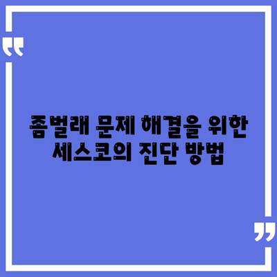 2024년 제주도 제주시 오라동 세스코 가격 및 비용 가이드 | 가정집 후기, 원룸 신청, 진단, 좀벌래 해결책