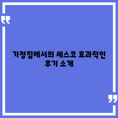 2024 강원도 동해시 천곡동 세스코 가격 및 신청 방법 | 가정집 후기, 원룸, 좀벌래 해결 가이드"