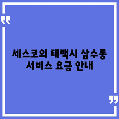 강원도 태백시 삼수동 세스코 가격 및 비용 안내 | 가정집 후기, 원룸 신청 방법, 진단 및 좀벌래 해결책 2024"