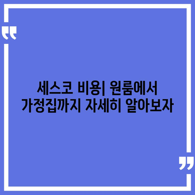 대전시 서구 만년동 세스코 가격 및 가정집 후기 2024 | 비용, 원룸, 신청, 좀벌래 해결책