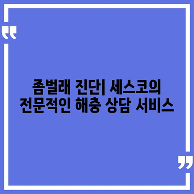 광주시 서구 농성2동 세스코 요금 및 신청 방법 | 비용, 가정집 후기, 원룸, 좀벌래 진단 2024"