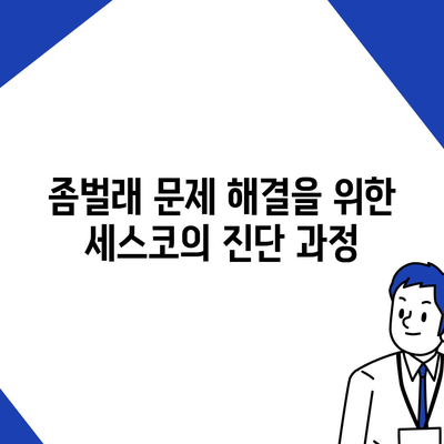 충청남도 계룡시 금암동 세스코 가격 및 가정집 후기 | 원룸 신청 방법, 진단, 좀벌래 해결책 2024