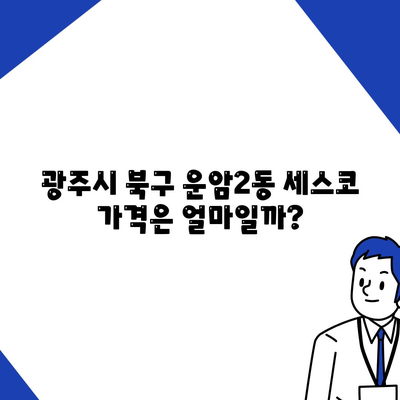 광주시 북구 운암2동 세스코 가격 및 후기 모음 | 비용, 가정집 신청 방법, 원룸 진단, 좀벌래 해결책 2024