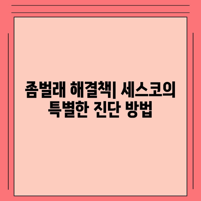 부산시 부산진구 부암3동 세스코 비용과 가정집 후기, 원룸 신청 방법 | 가격, 진단, 좀벌래 해결책 2024