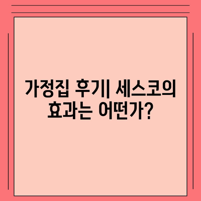 충청남도 계룡시 금암동 세스코 가격 및 가정집 후기 | 원룸 신청 방법, 진단, 좀벌래 해결책 2024