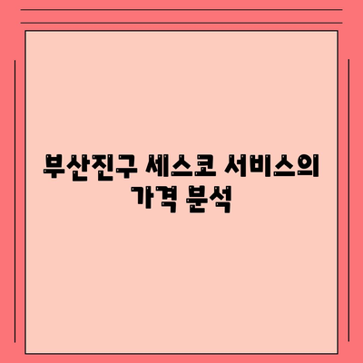 부산진구 부암3동 세스코 가격 및 가정집 후기 2024 | 비용, 신청 방법, 좀벌래 진단, 원룸 해결책