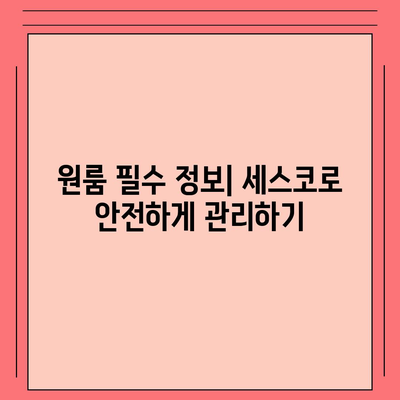 충청남도 서천군 서면 세스코 비용 | 가정집 후기, 신청 방법, 좀벌래 해결 팁 2024 | 진단, 원룸 필수 정보