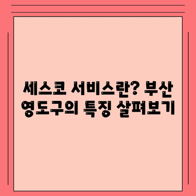 부산시 영도구 봉래2동 세스코 가격 및 이용 후기 | 가정집, 원룸, 좀벌래 해결, 신청 방법 2024