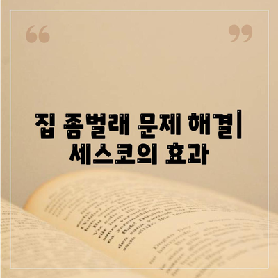 경상남도 진주시 계동 세스코 가격과 후기 가이드 | 비용, 가정집, 원룸, 신청방법, 집 좀벌래 해결책 2024