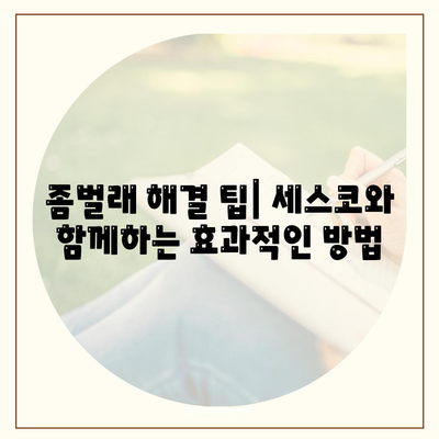 대구시 북구 대현동 세스코 가격 및 가정집 후기 | 비용, 신청 방법, 좀벌래 해결 팁 2024