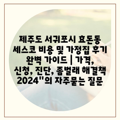 제주도 서귀포시 효돈동 세스코 비용 및 가정집 후기 완벽 가이드 | 가격, 신청, 진단, 좀벌래 해결책 2024"