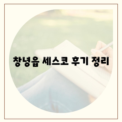 경상남도 창녕군 창녕읍 세스코 가격 및 후기 완벽 가이드 | 비용, 신청 방법, 좀벌래 해결책, 가정집 경험담 2024