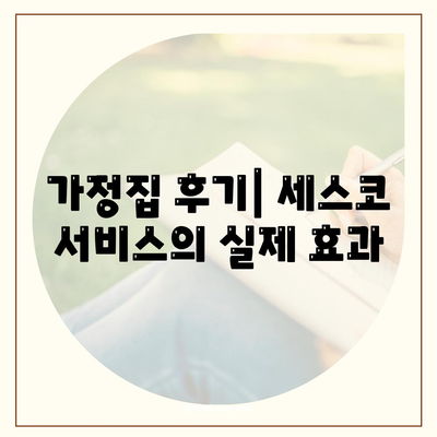 제주도 서귀포시 표선면 세스코 가격 및 비용 가이드 | 가정집 후기, 원룸 신청, 좀벌래 진단 2024