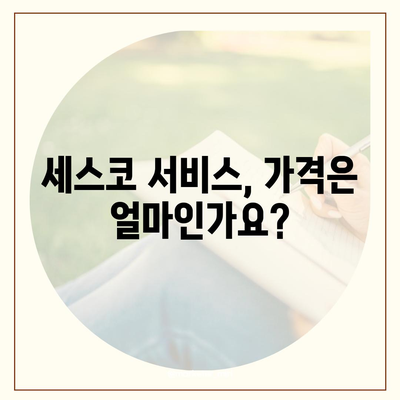 경기도 안성시 대덕면 세스코 가격 및 비용 가이드 | 가정집 후기, 원룸 신청, 진단, 좀벌래 해결 방법 2024