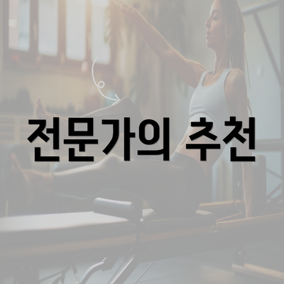 전문가의 추천