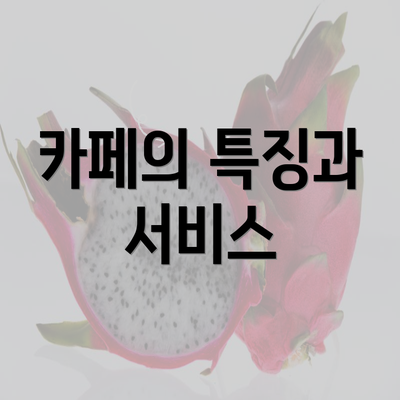 카페의 특징과 서비스