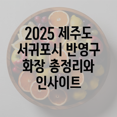 2025 제주도 서귀포시 반영구 화장 총정리와 인사이트