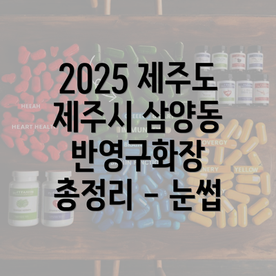 2025 제주도 제주시 삼양동 눈썹반영구와 관련된 모든 정보