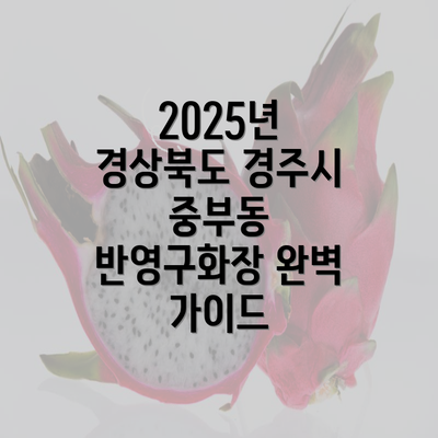 2025년 경상북도 경주시 중부동 반영구화장 완벽 가이드