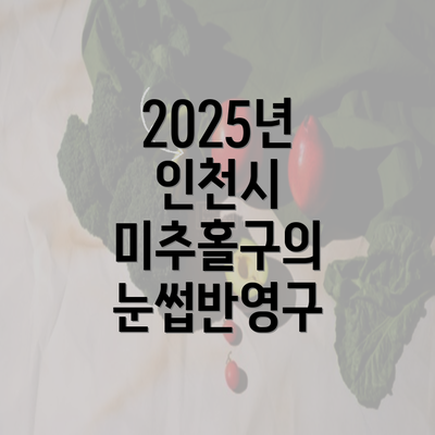 2025년 인천시 미추홀구의 눈썹반영구