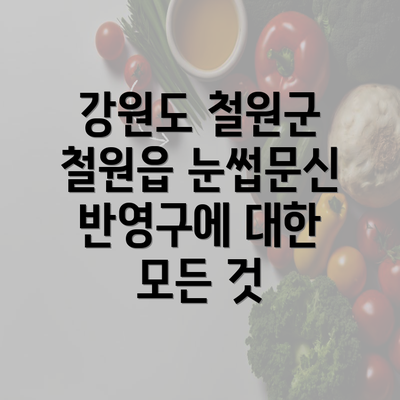 강원도 철원군 철원읍 눈썹문신 반영구에 대한 모든 것