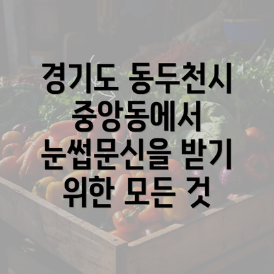 경기도 동두천시 중앙동에서 눈썹문신을 받기 위한 모든 것