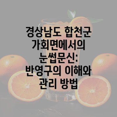 경상남도 합천군 가회면에서의 눈썹문신: 반영구의 이해와 관리 방법