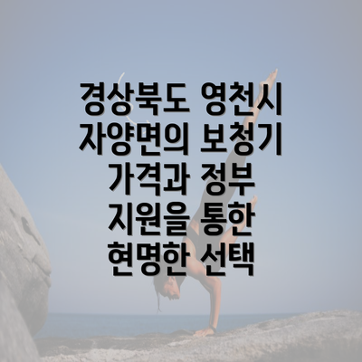 경상북도 영천시 자양면의 보청기 가격과 정부 지원을 통한 현명한 선택