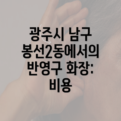 광주시 남구 봉선2동에서의 반영구 화장: 비용