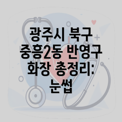 광주시 북구 중흥2동 반영구 화장 총정리: 눈썹