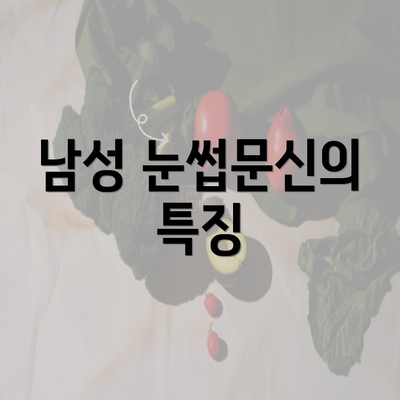 남성 눈썹문신의 특징