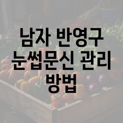 남자 반영구 눈썹문신 관리 방법