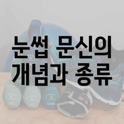 눈썹 문신의 개념과 종류