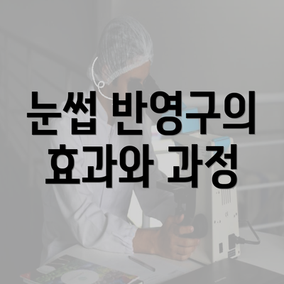 눈썹 반영구의 효과와 과정