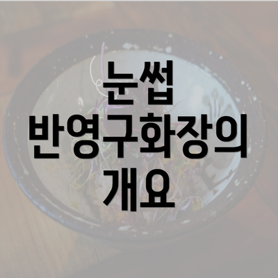 눈썹 반영구화장의 개요