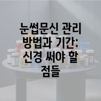 눈썹문신 관리 방법과 기간: 신경 써야 할 점들