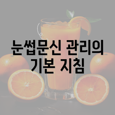 눈썹문신 관리의 기본 지침